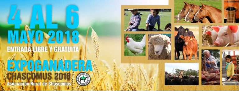 EXPOGANADERA CHASCOMÚS BUENOS AIRES