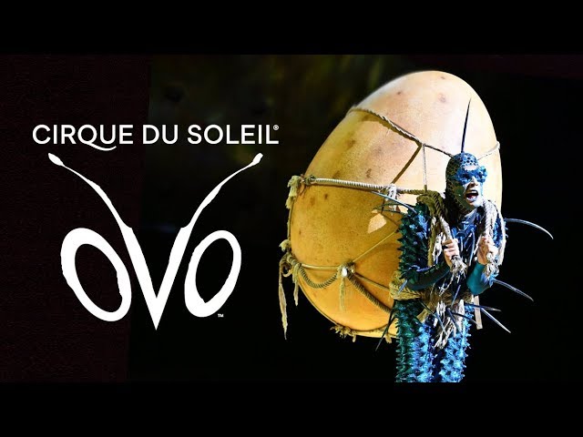 CIRQUE DU SOLEIL EN CÓRDOBA