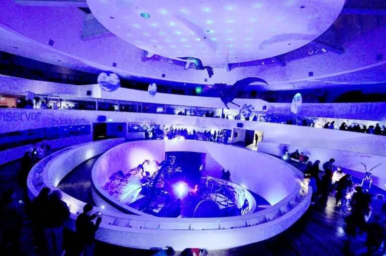 LO MEJOR DE LA NOCHE DE LOS MUSEOS 2020, EN FORMATO STREAMING